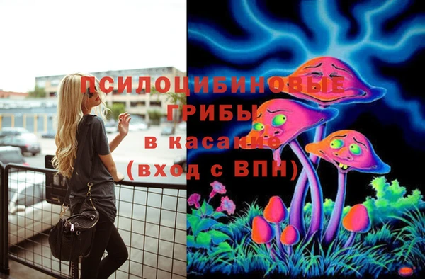 твердый Алексеевка