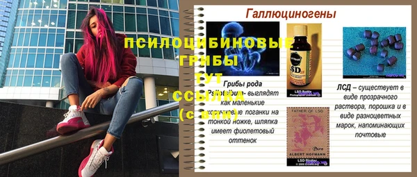 твердый Алексеевка