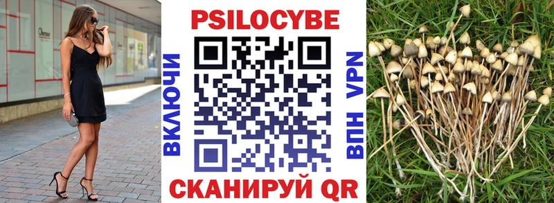 Галлюциногенные грибы Psilocybine cubensis  Октябрьский 